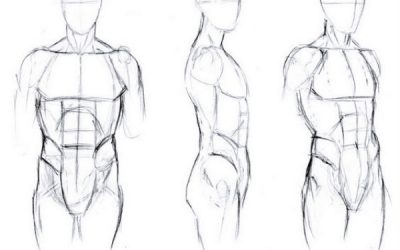 Featured image of post How To Draw Body Shapes For Beginners Some people have extra so make sure you know how that excess is supposed to sit on the body so that it looks realistic